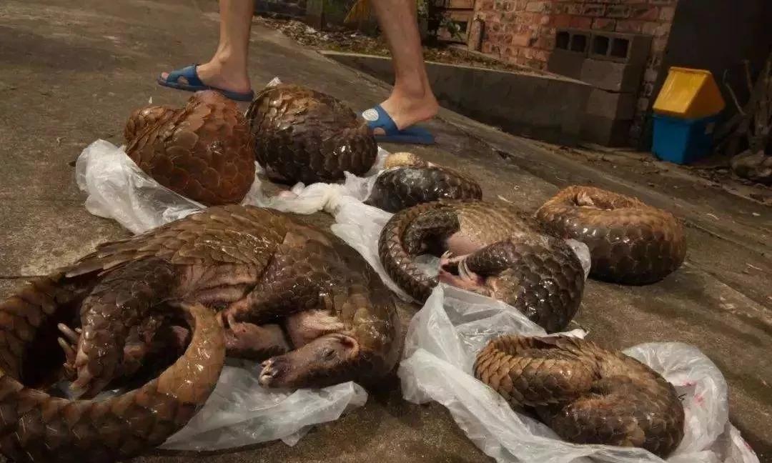 管軼最新證據(jù)揭示，變化是成長(zhǎng)的催化劑，學(xué)習(xí)自信之源