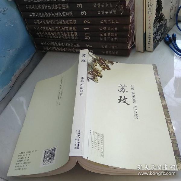 時(shí)代背景下的璀璨篇章，蘇最新章節(jié)速遞