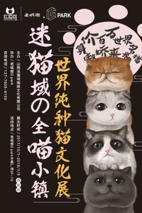 喵咪最新域，溫馨有趣的日常故事分享