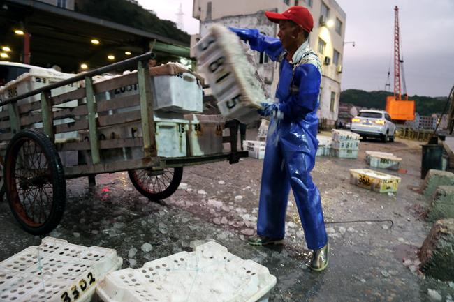 直擊臺(tái)風(fēng)中的漁船動(dòng)態(tài)，最新臺(tái)風(fēng)漁船視頻更新