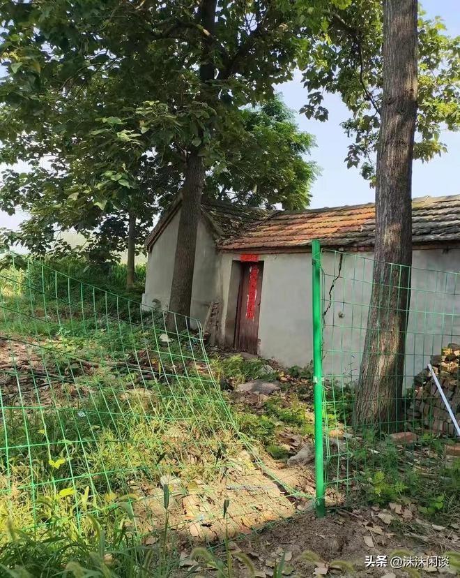 網(wǎng)曝門最新動態(tài)，任務(wù)完成與技能學習指南全攻略