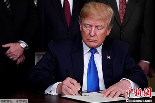 美國新任總統(tǒng)的日常趣事與溫馨時(shí)刻揭秘