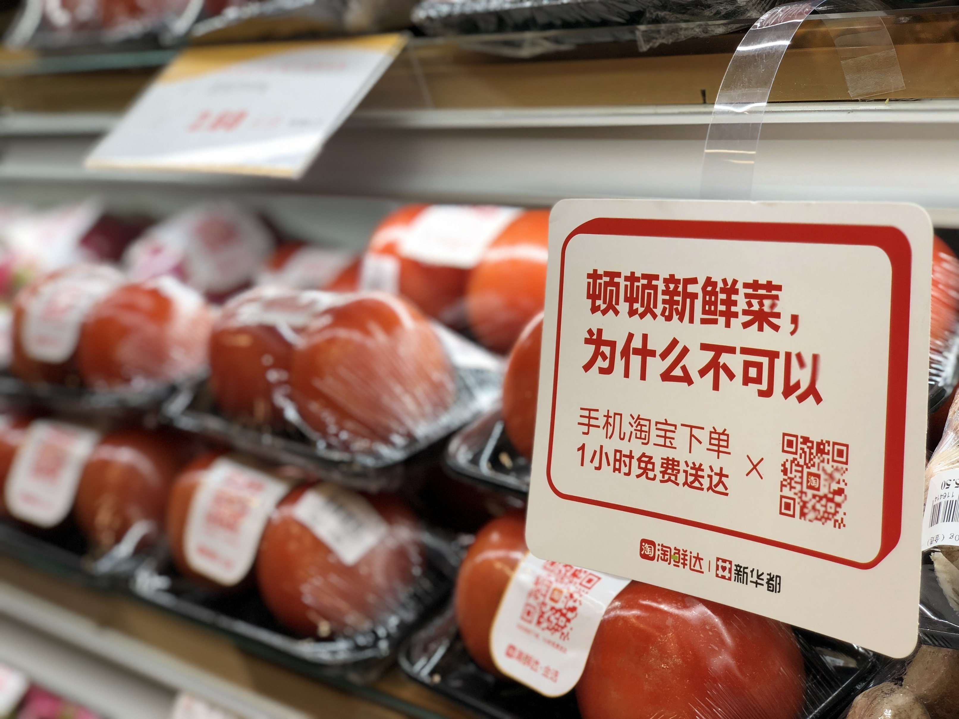 小巷中的秘密美食天堂，淘最新鮮美食之旅