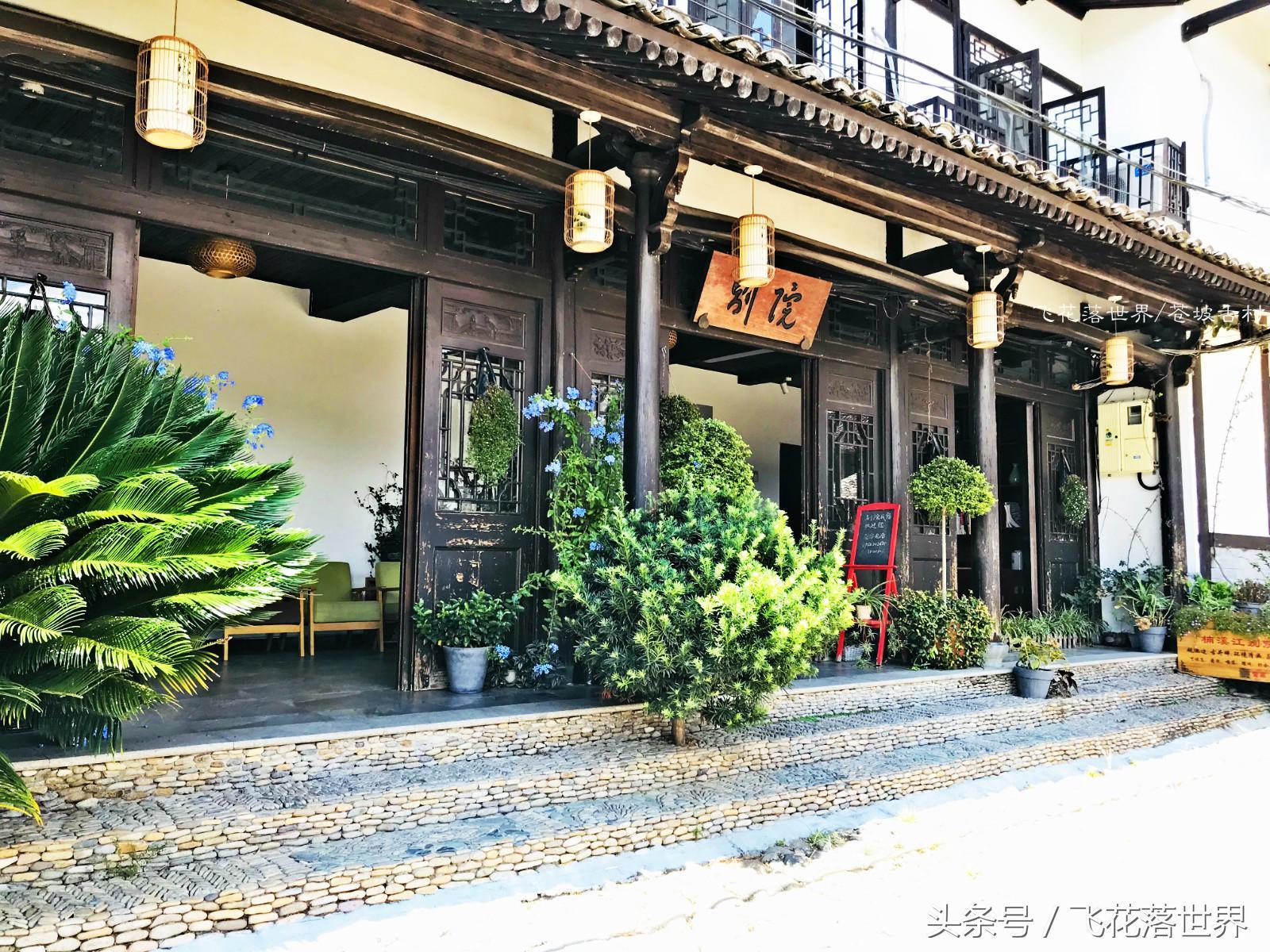 永嘉最新建筑探索，現(xiàn)代都市新地標亮相