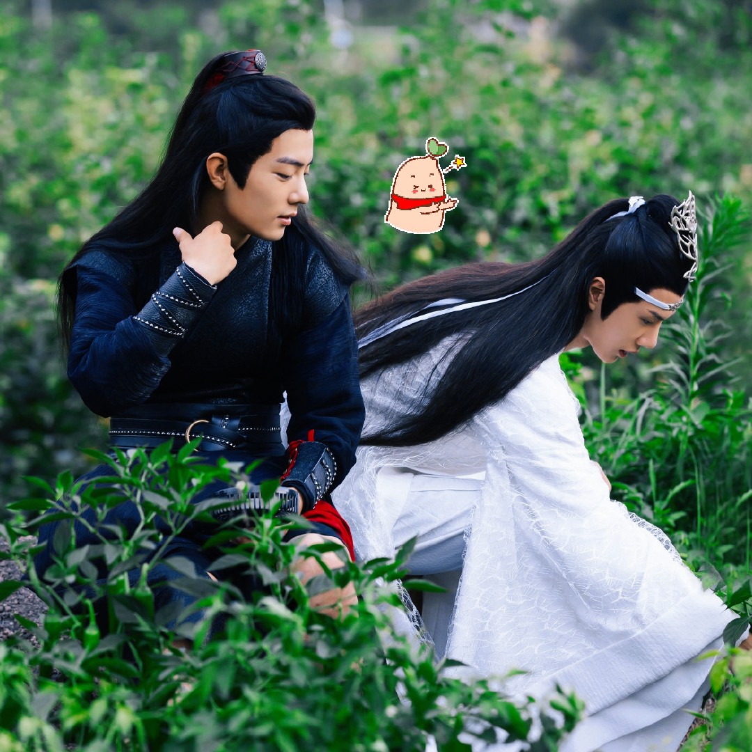 陳情令最新花，花海中的溫馨奇遇