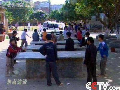 甲肝最新動態(tài)與自然美景之旅，探尋內心的寧靜與平和