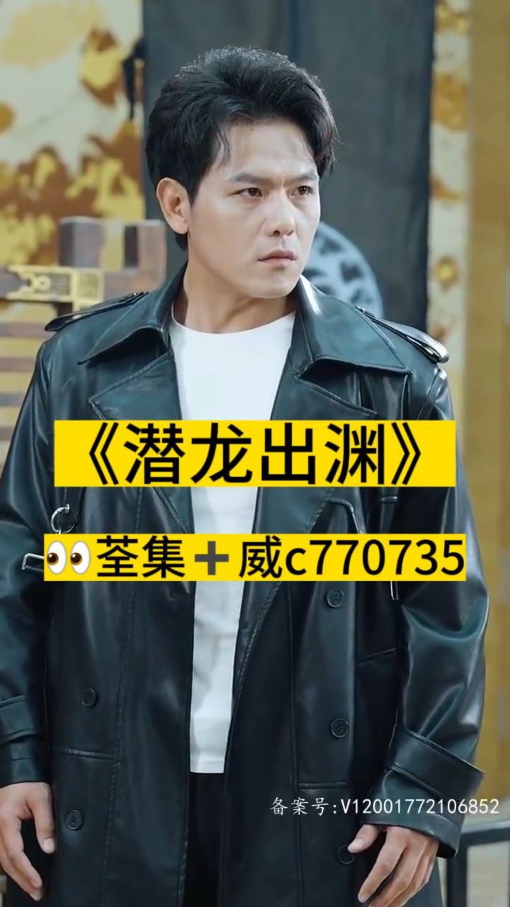 淘龍最新視頻，日常趣事與愛之陪伴