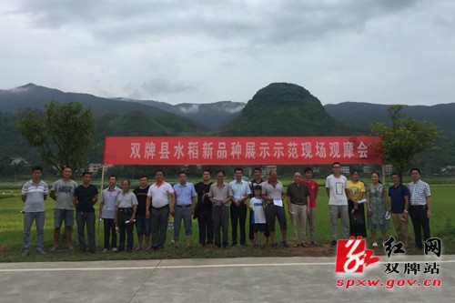 雙牌縣新時(shí)代新面貌，探尋最新發(fā)展與變化