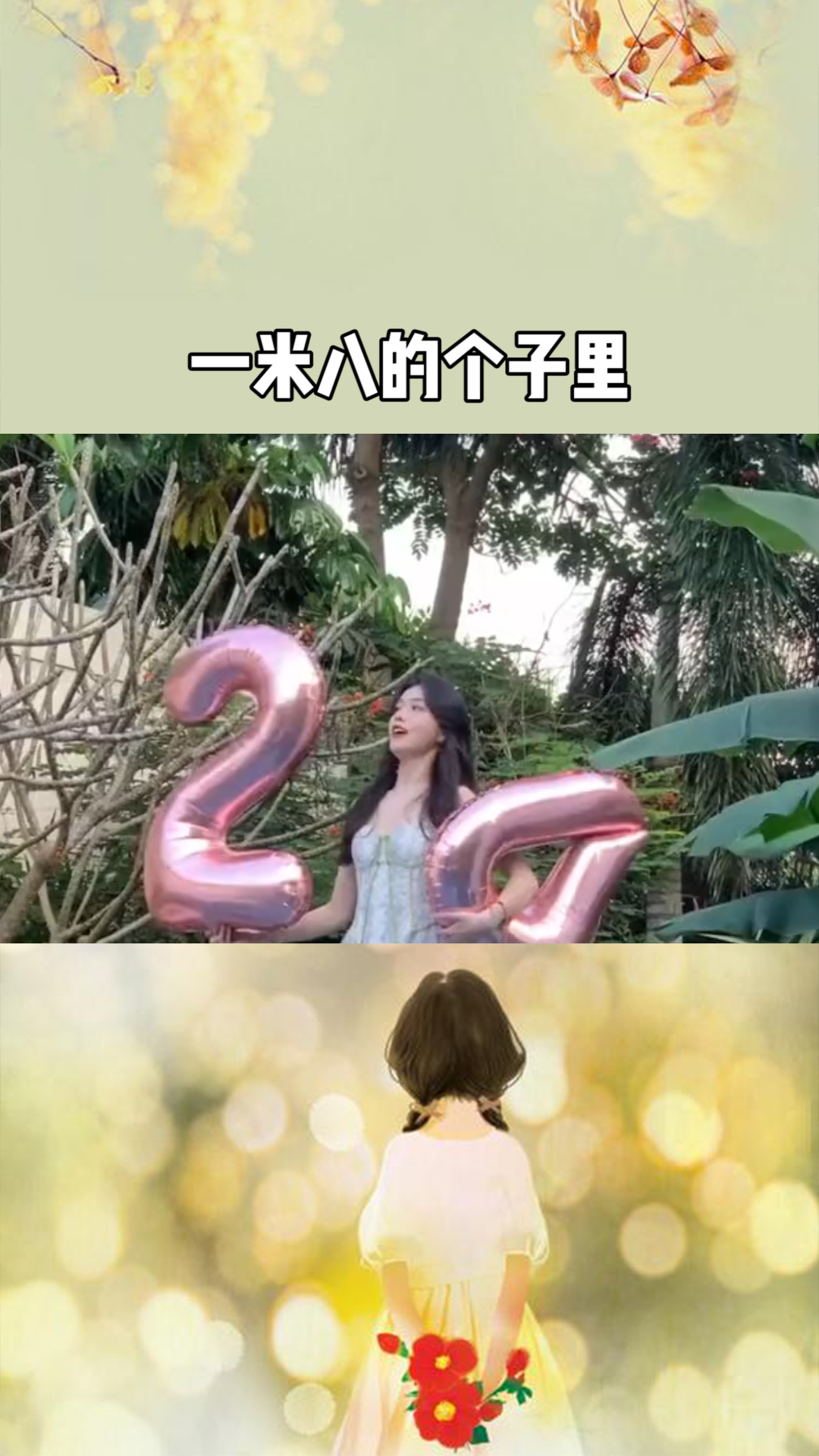 探尋奇幻世界的冒險與奧秘，公主一米八最新章節(jié)