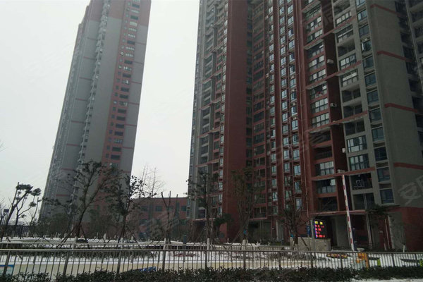 健龍果嶺公元最新動態(tài)更新，最新消息匯總