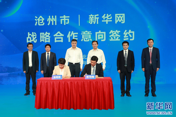 滄州新聞網(wǎng)，城市溫馨日常與深厚友情的最新報(bào)道