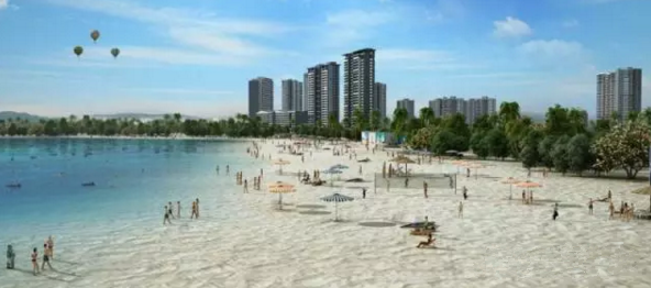 大亞灣羅健強最新動態(tài)，技能提升與任務(wù)完成指南