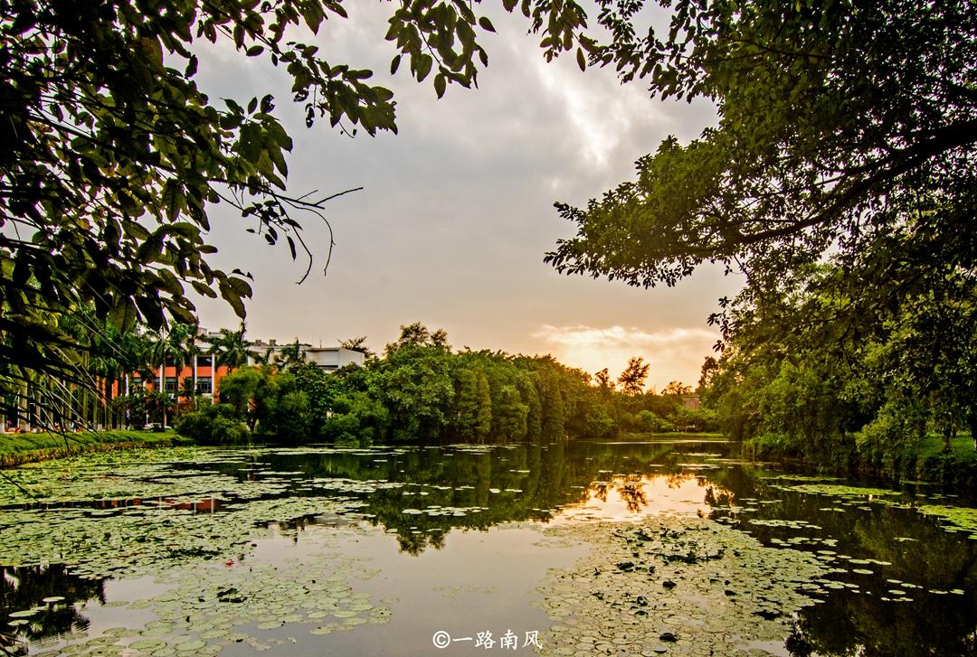 華南海域最新天氣報(bào)告，探索自然美景之旅，尋求內(nèi)心寧靜與平和的旅程