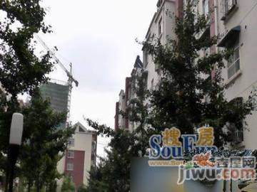 信宜玉龍山莊最新房?jī)r(jià)動(dòng)態(tài)，機(jī)遇與自我超越的旅程