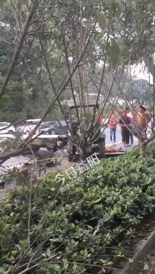 桃江竹海車禍最新進(jìn)展，背后的力量與希望之光