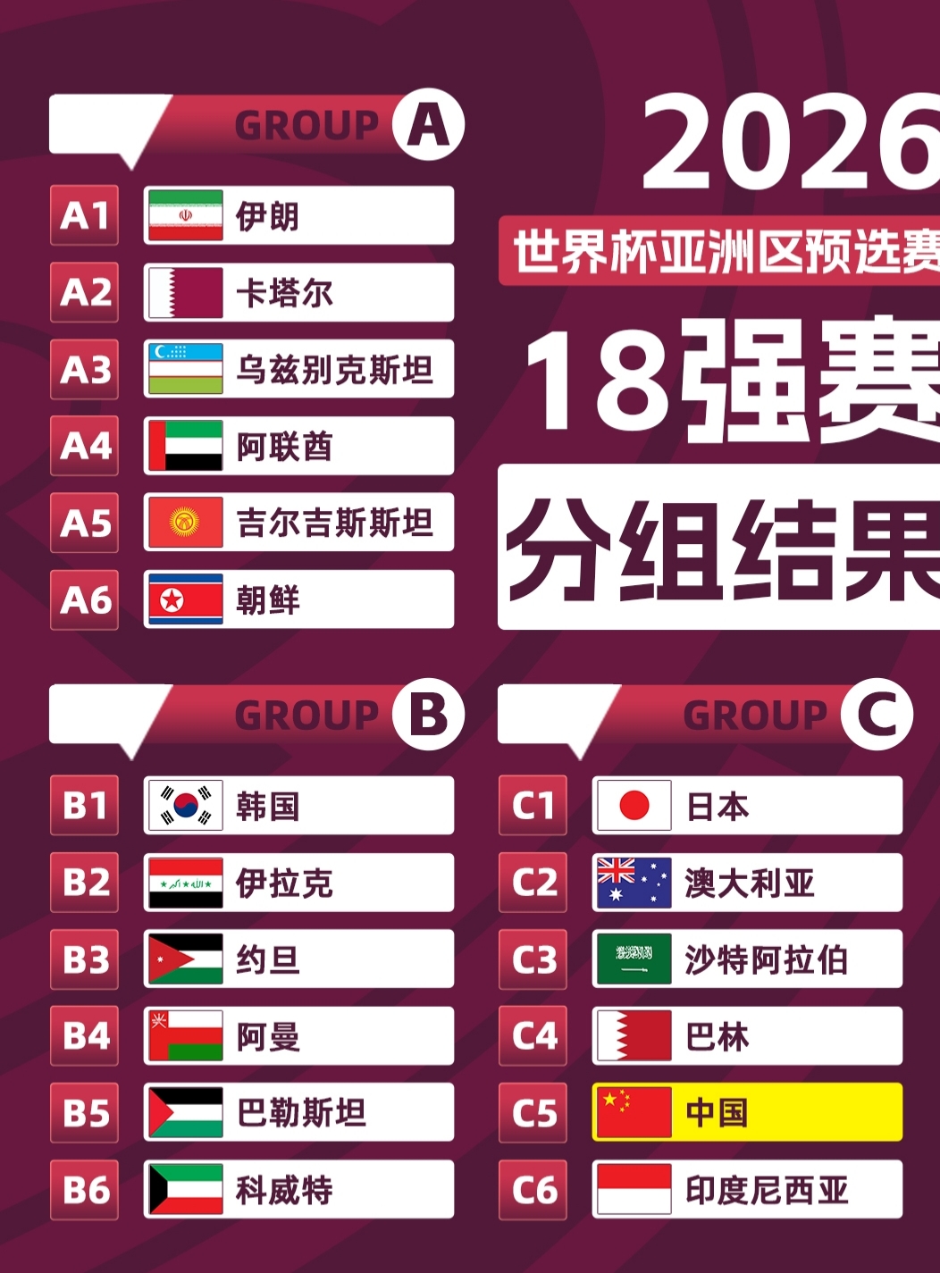 世界杯預(yù)選賽最新結(jié)果，賽場風(fēng)云與命運(yùn)博弈的解讀揭秘之戰(zhàn)！