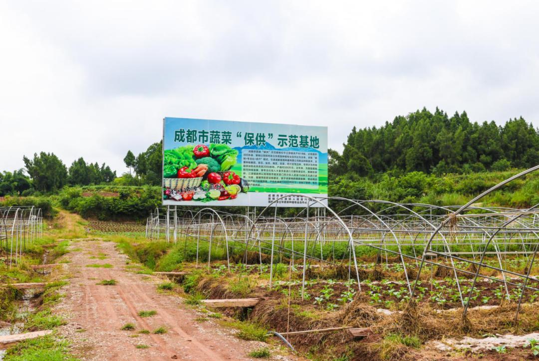 簡陽市江源鎮(zhèn)未來藍圖展望，最新規(guī)劃與未來發(fā)展