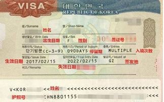 韓國(guó)簽證最新政策解讀，一文掌握所有更新！
