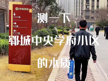 鄆城中央學(xué)府最新動(dòng)態(tài)，進(jìn)展、影響與觀點(diǎn)分析