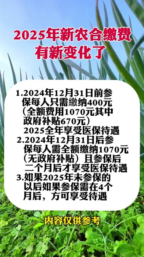 新農(nóng)合最新政策2025，背景、影響與地位分析