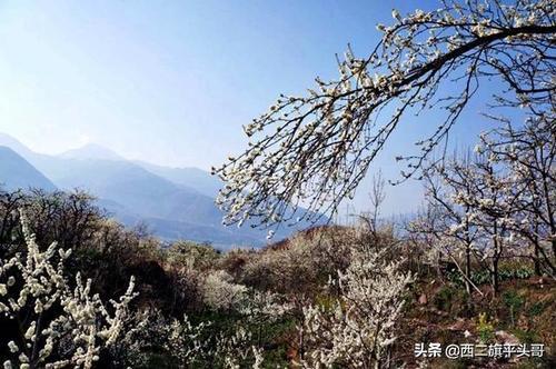 漢源九襄鎮(zhèn)最新規(guī)劃圖揭秘，藍圖下的繁榮未來