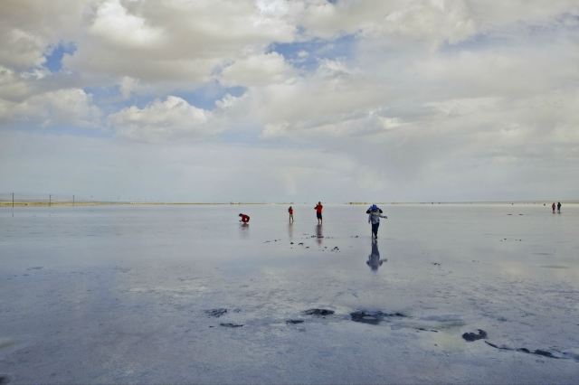 海西9號最新動態(tài)，任務(wù)完成與技能學習指南更新發(fā)布