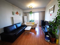 清河縣出租房信息更新，家園變遷與自我成長的自信成就之路