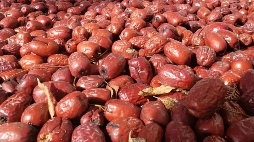 非常完美最新一期音樂(lè)盛宴，嗨翻全場(chǎng)的音樂(lè)狂歡！