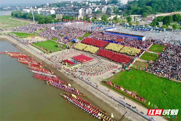 沅陵紅網(wǎng)10.31最新消息解讀指南，從初學(xué)者到進(jìn)階用戶的全方位指南