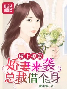 枕上撩妻有道，心動不已的浪漫之旅最新章節(jié)