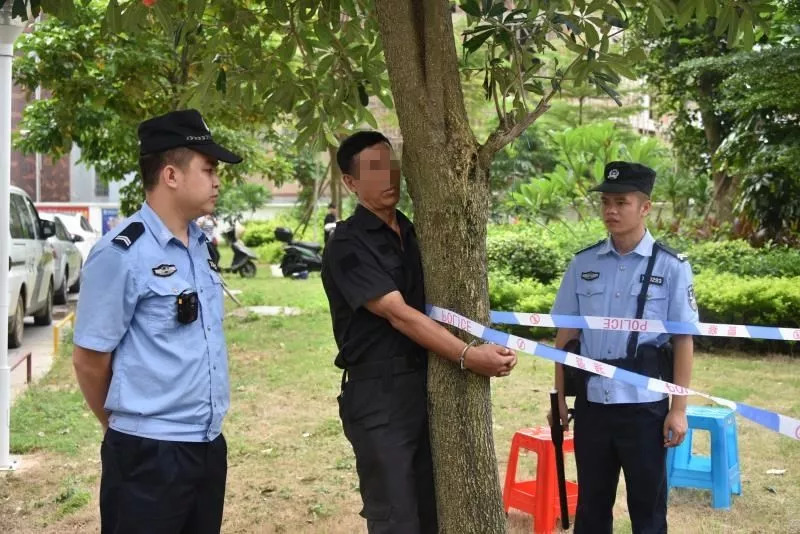 北海打傳辦最新動態(tài)及其影響分析，一種觀點(diǎn)的視角