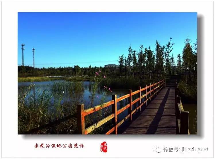 涼灣濕地公園奇妙一日游，最新消息揭秘探險(xiǎn)之旅！