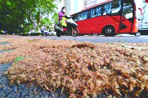 南京招聘網(wǎng)最新招聘信息上線，你的職業(yè)新起點(diǎn)！??南京招聘網(wǎng)全新上線58版?