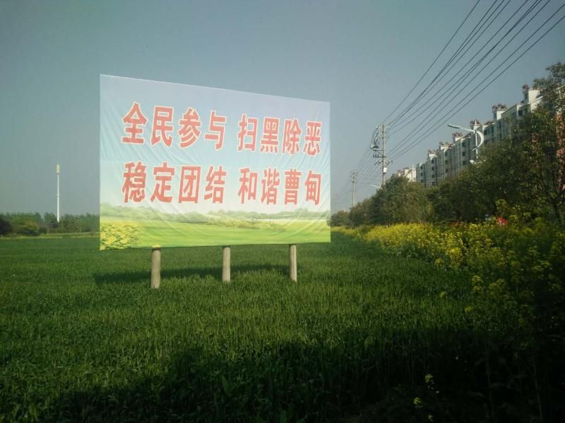 寶應(yīng)縣曹甸鎮(zhèn)科技新風塑造未來新篇章