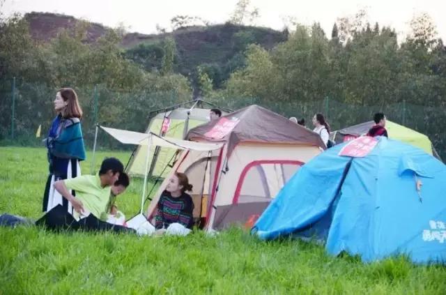 蘄太安高速最新動態(tài)更新，最新消息匯總