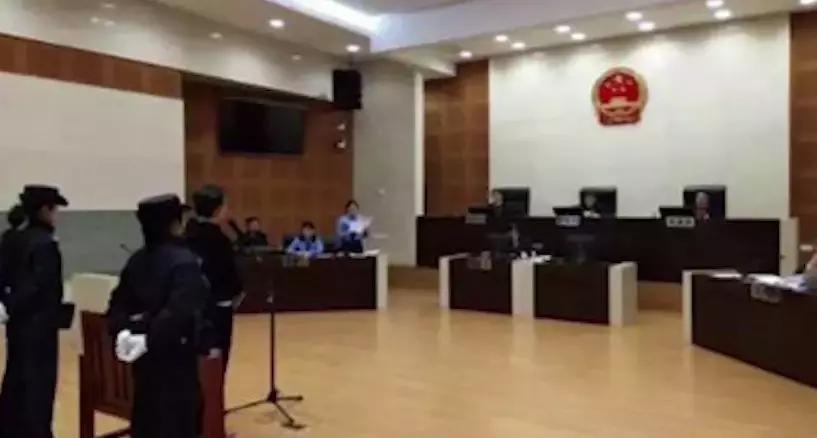 易乾財富最新消息劉丹，自然美景探索之旅揭秘