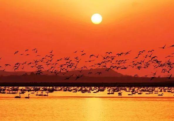 巢湖四?；▓@，科技智慧生活與房價(jià)新篇章開啟，最新房價(jià)信息一覽