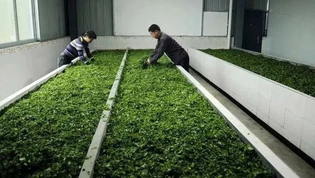 茶碾公路最新進展詳解，入門到精通的全方位指南