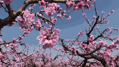 榆中縣新世界最新房價，夢想躍動的起點(diǎn)