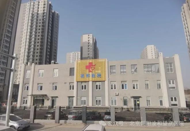 東壩福滿園，小巷特色小店的獨(dú)特魅力與最新消息揭秘