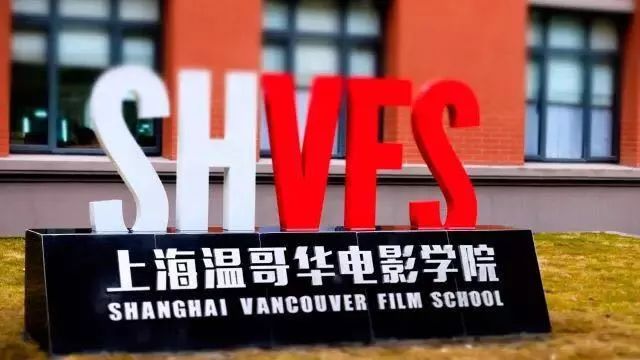 魯泰集團(tuán)最新招聘啟事，職位空缺與職業(yè)發(fā)展機(jī)會