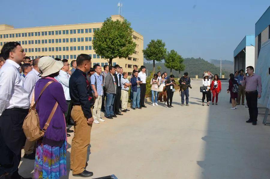 扶綏空港區(qū)最新進展及影響，一種觀點深度解析