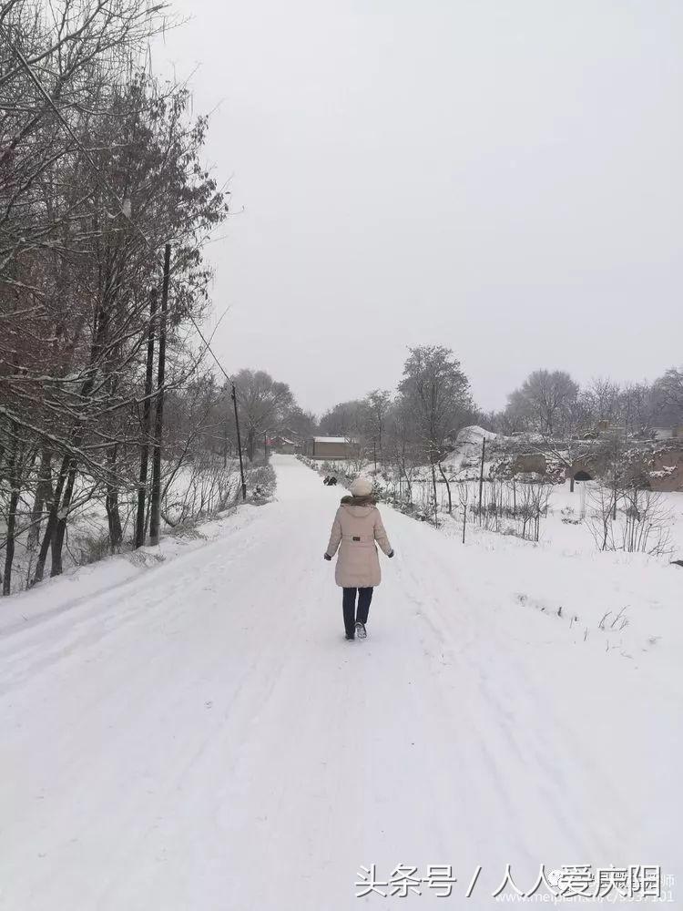 寧縣和盛鎮(zhèn)最新消息概覽，最新動態(tài)與指南