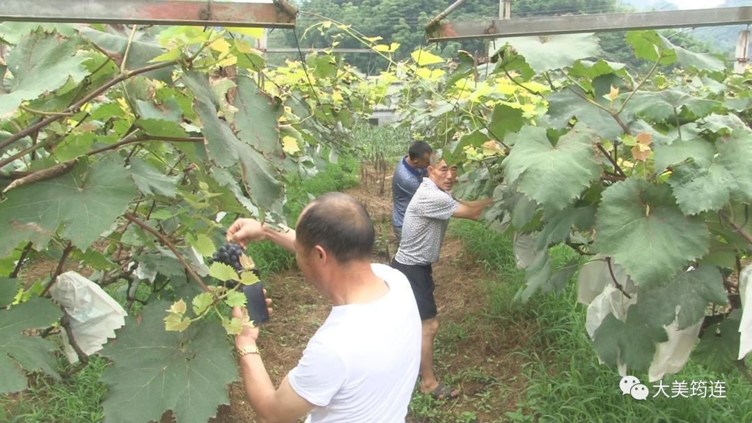 筠連巡司新聞最新動(dòng)態(tài)更新