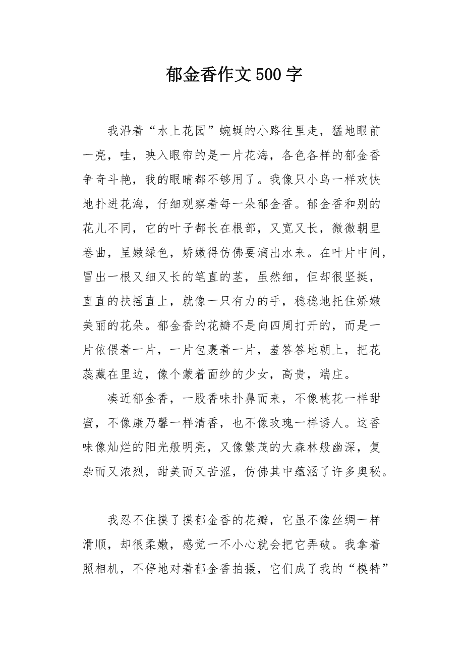 我的郁金香女友最新章節(jié)，情感與成長的交織旅程