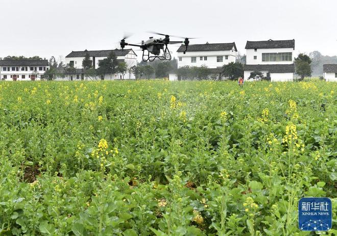 廣安市花橋鎮(zhèn)最新新聞及獲取指南，輕松掌握本地新聞技能