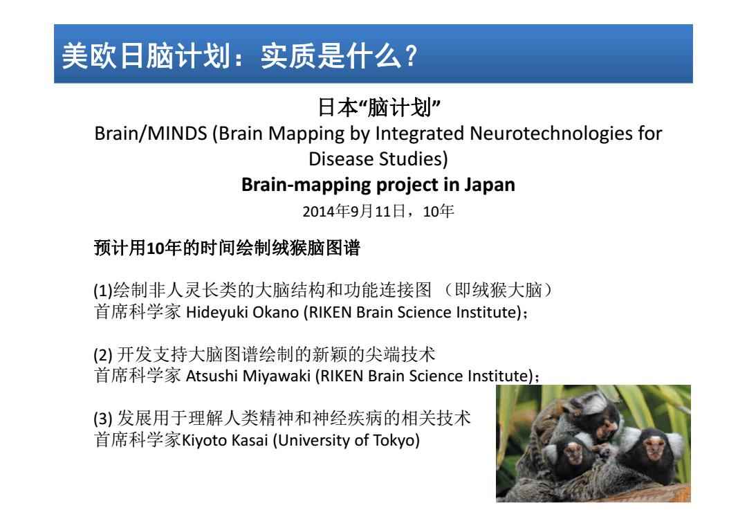 日本腦計劃最新進(jìn)展揭秘，溫馨日常的新突破