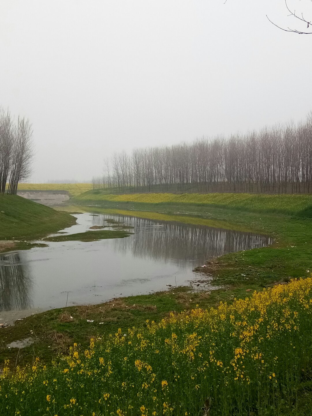 平輿縣天氣預(yù)報(bào)更新，陽(yáng)光與氣象變化帶來(lái)自信與力量