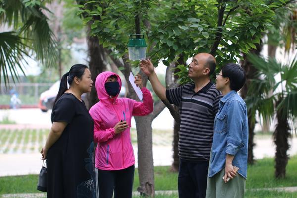 漯河黑龍?zhí)兑?guī)劃揭秘，最新藍圖與奇遇溫情的融合