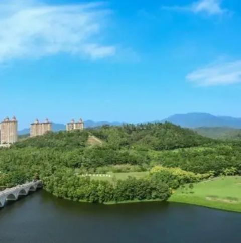 惠州市汝湖鎮(zhèn)最新規(guī)劃探索，小巷深處的獨特風情與驚喜